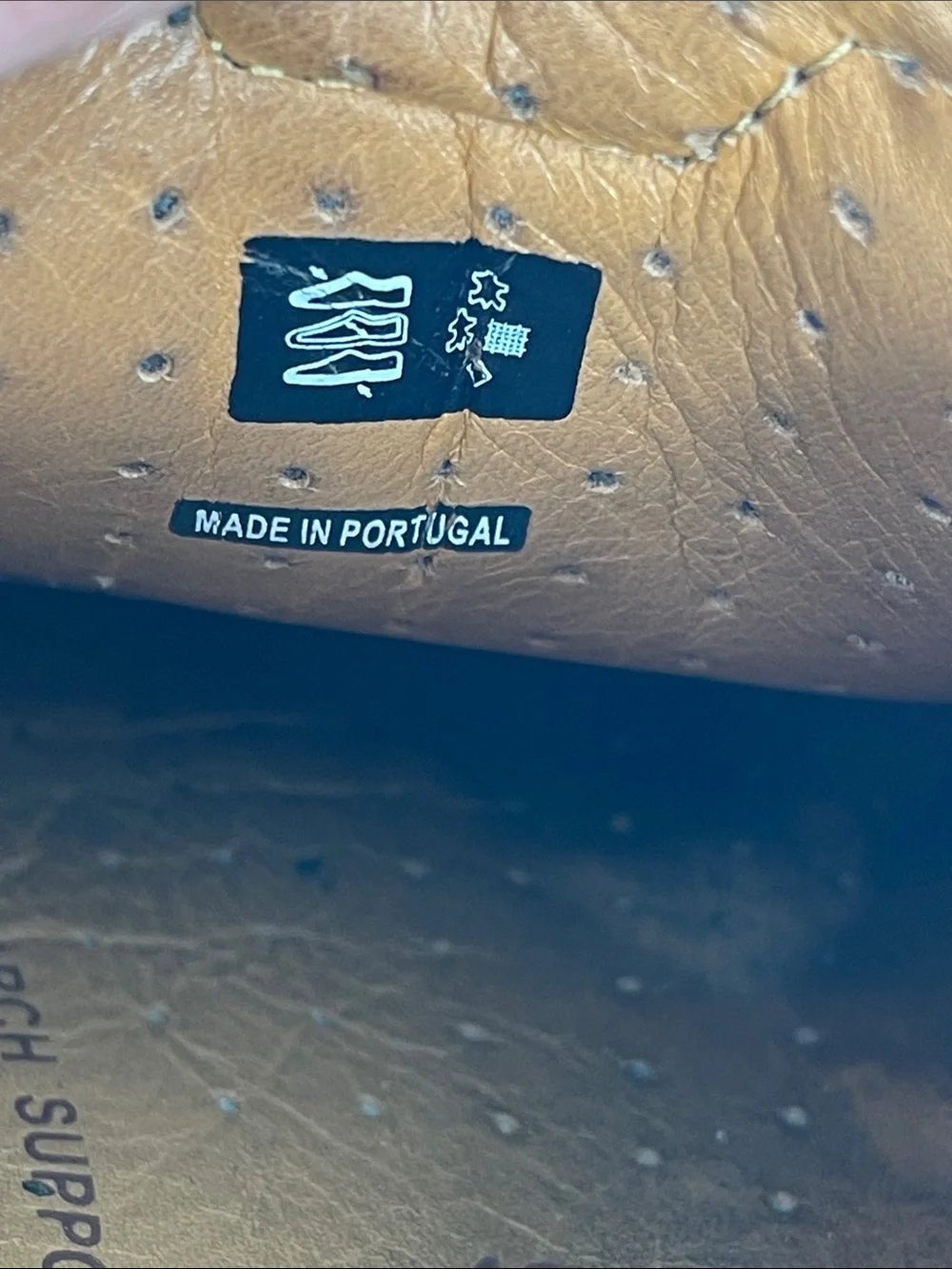Ecco slip design
